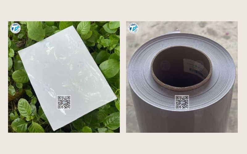 Decal trong dán xe ô tô